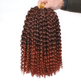 12 Inch Passion Twist Hair Water Wave Crochet Braiding Hair Bohemian Curly Hair Extensions