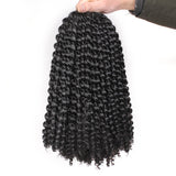 12 Inch Passion Twist Hair Water Wave Crochet Braiding Hair Bohemian Curly Hair Extensions