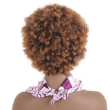 Synthetic Ombre Kinky Curly Wigs For Women Natural Black Brown Short Afro Fake Hair Heat Resistant Female Wig