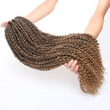 janet collection passion twist crochet braids